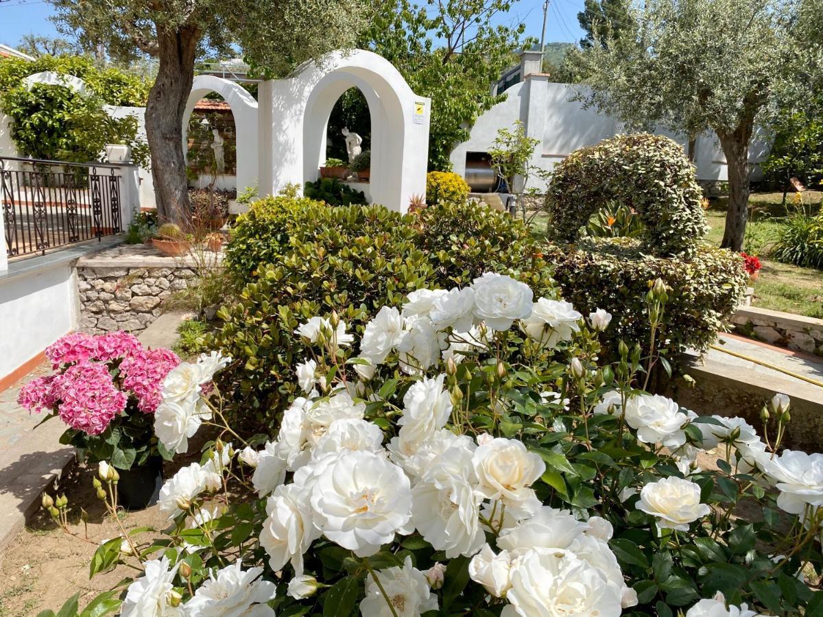 Gli Archi Hotel Anacapri  Buitenkant foto